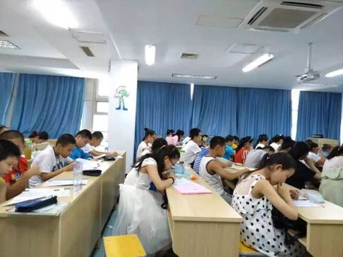 深度揭秘巨人教育小升初課程及服務流程 教育咨詢全解析